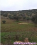 Fotos del anuncio: Se vende Finca de caza y recreo de 267 hectreas