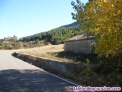 Fotos del anuncio: Vendo finca en pirineo 