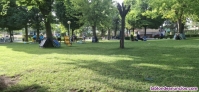 Fotos del anuncio: SE CEDE GRATUITAMENTE ACCION DE LA SOCIEDAD RECREATIVA DE LOS jUNCOS