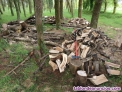 Fotos del anuncio: Labores forestales a mano