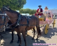Fotos del anuncio: Coches clsicos,limusinas,coches de lujo,carrozas de caballos Cenicienta 