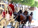 Coches clsicos,coches de lujo,coches deportivos,limusinas y carrozas de caballo