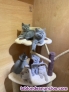 Fotos del anuncio: Gatitos de raza British Shorthair.WhatsApp 603;;16;;84;;87