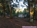 Fotos del anuncio: Finca en Tarreirigo / Esgos