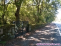 Fotos del anuncio: Finca en Tarreirigo / Esgos
