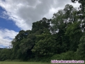 Fotos del anuncio: Se vende finca cerrada con bosque autctono, castaos productivos y regato