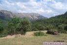 Fotos del anuncio: Cortijo y terreno a terminar