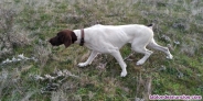 Fotos del anuncio: Braca