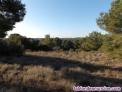 Fotos del anuncio: Finca con 308.000 metros 