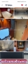 Fotos del anuncio: Vendo autocaravana 