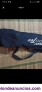 Fotos del anuncio: Bolsa/ Funda para patinete