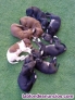 Fotos del anuncio: Cachorros de pointer pura raza 