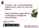 Fotos del anuncio: Uva con destino a transformacin en vino