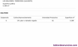 Fotos del anuncio: Venta de parcela Los Balcones Torrevieja