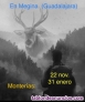 Fotos del anuncio: Monteras en Megina (Guadalajara) 22 de noviembre y 31 de enero.