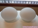 Fotos del anuncio: 2 Globos de Cristal para Lmpara