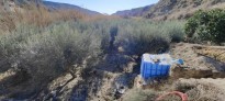 Fotos del anuncio: La propiedad cuenta con una cuidada plantacin de 