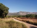 Fotos del anuncio: La finca en total tiene 43 hectareas, su plantaci