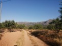 Fotos del anuncio: La finca en total tiene 43 hectareas, su plantaci
