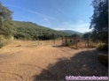 Fotos del anuncio: Finca de Recreo y Caza 