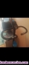 Fotos del anuncio: Se vende bici esttica en irun 