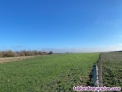 Fotos del anuncio: Finca agrcola 550 Hectreas en Toledo 