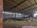 Fotos del anuncio: Explotacin ganadera y finca rstica en venta a pie de carretera
