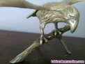 Fotos del anuncio: Preciosa aguila de escritorio en bronce 47 cm.