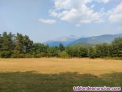Fotos del anuncio: Terreno en Castiello de Jaca 