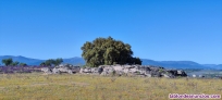 Fotos del anuncio: Tarjetas temporada 2025-26  en San Martn de Montalbn Toledo 