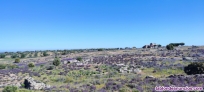 Fotos del anuncio: Tarjetas temporada 2025-26  en San Martn de Montalbn Toledo 
