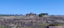 Fotos del anuncio: Tarjetas temporada 2025-26  en San Martn de Montalbn Toledo 