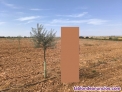 Fotos del anuncio: Finca de regado de 8 hectreas