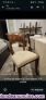 Fotos del anuncio: 8 Sillas de comedor