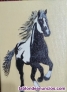 Fotos del anuncio: Caballo al trote 