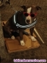 Fotos del anuncio: Perro para monta 