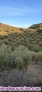 Fotos del anuncio: Venta de estupenda casa Con Una finca de 7.000 m2