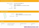 Fotos del anuncio: Se venden chopos