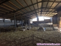 Fotos del anuncio: Explotacin ganadera