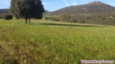 Fotos del anuncio: Finca de explotación agrícola