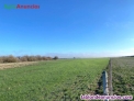 Fotos del anuncio: Finca agrcola regado