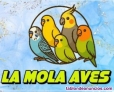 La mola aves