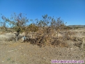 Fotos del anuncio: Terreno Colmenar de Oreja rstico labranza en la vega 
