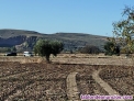 Fotos del anuncio: Terreno Colmenar de Oreja rstico labranza en la vega 