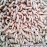 Fotos del anuncio: Larva Deshidratada Insecto BSF