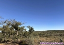 Terreno (Finca r�stica) en venta EN BERROCAL