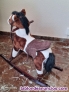 Fotos del anuncio: Vendo caballo pinto con balanc�n 
