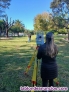 Fotos del anuncio: Curso de Topograf�a: Formaci�n + empleo