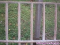 Fotos del anuncio: Vendo tres rejas cerramiento ventanas
