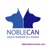 Adiestramiento canino en Villanueva de la Ca�ada